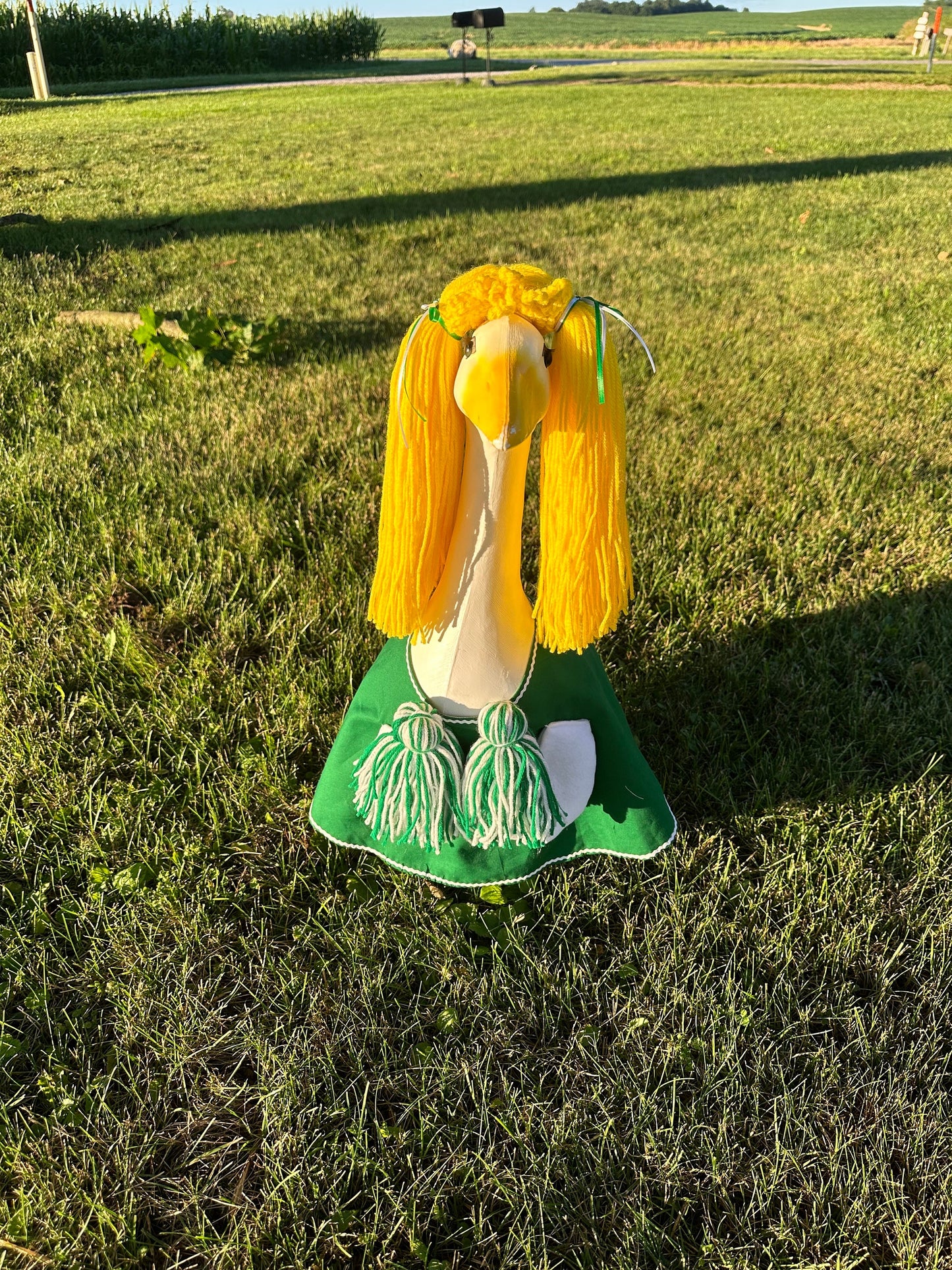 Baby cheerleader