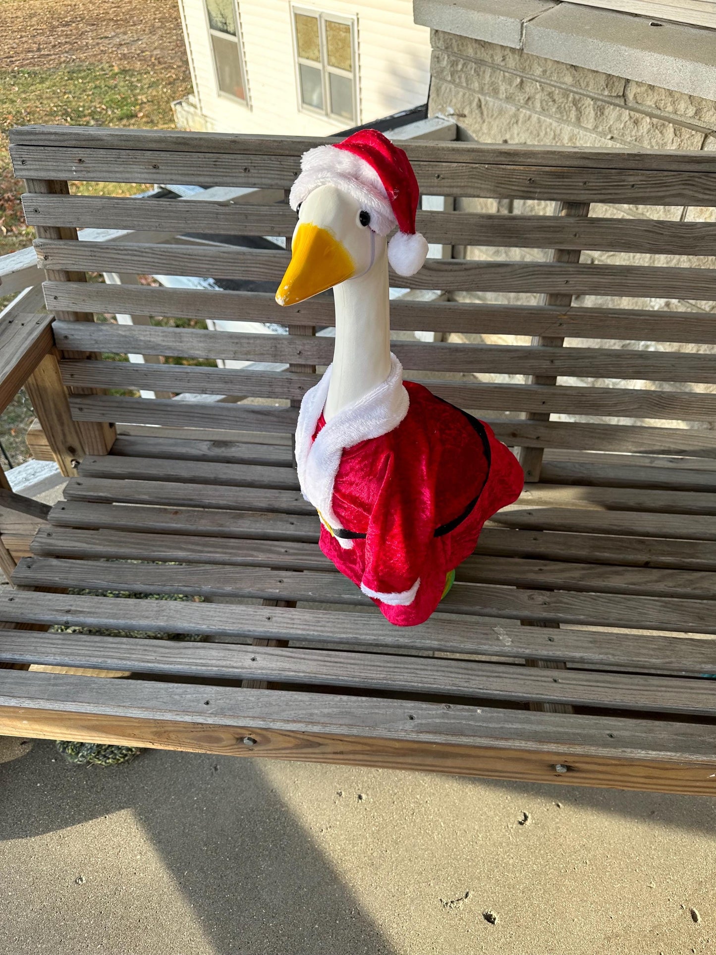 Mr. and Mrs. Santa Claus outfit