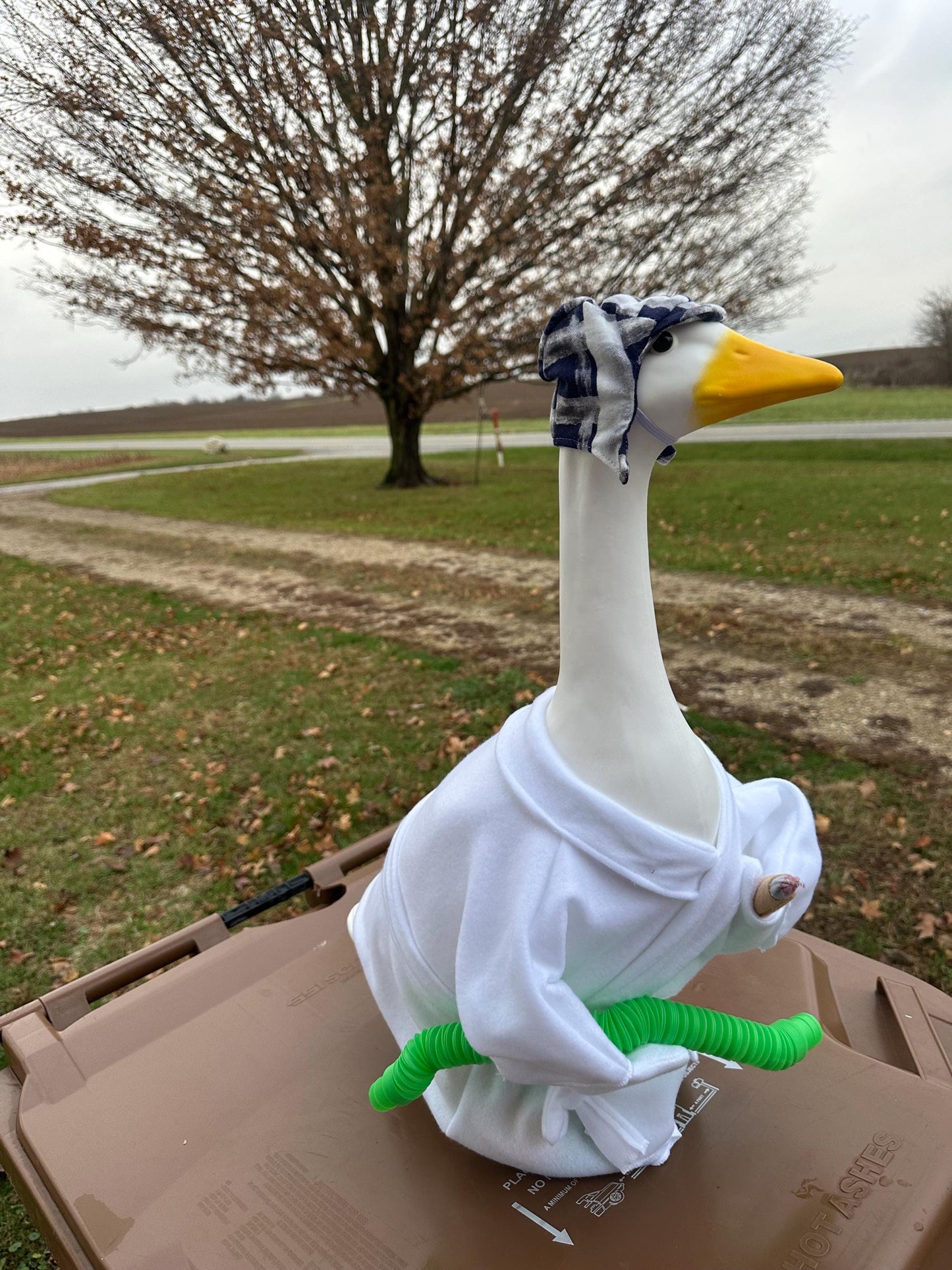 cousin Eddie goose outfit