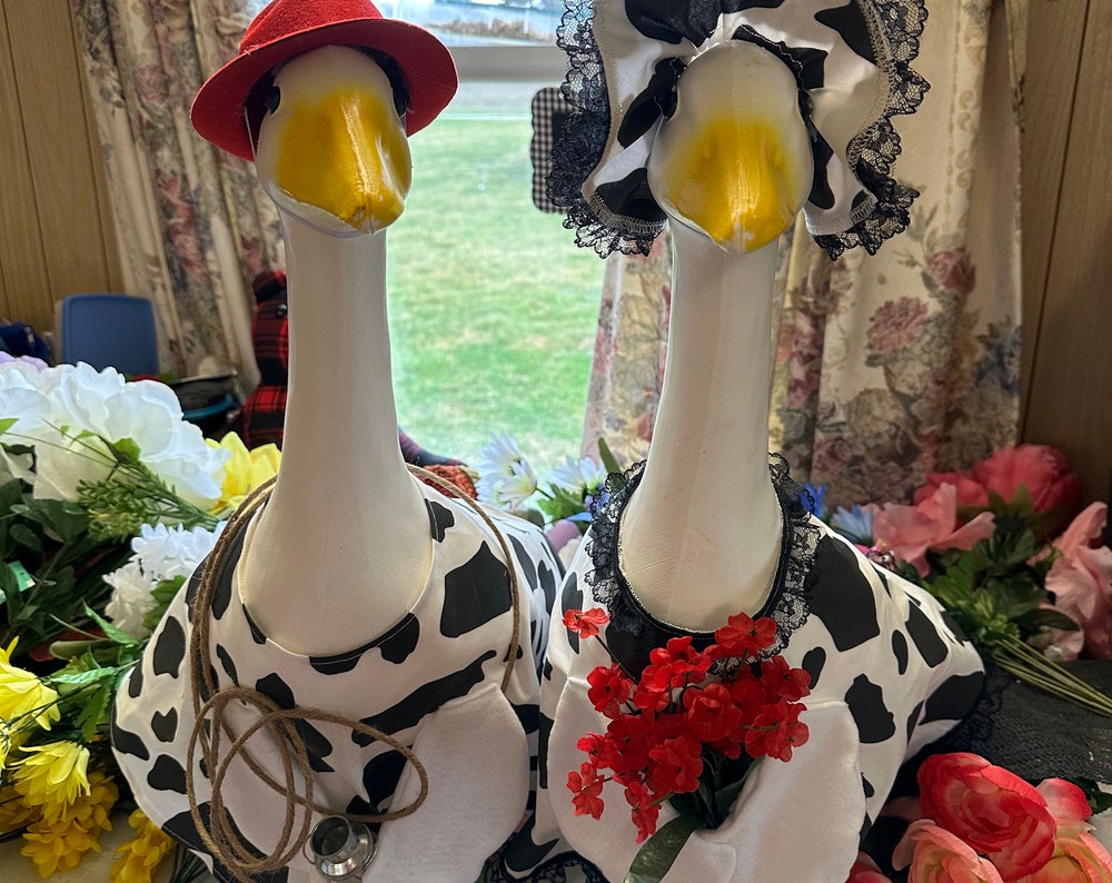 Cowboy and cowgirl set