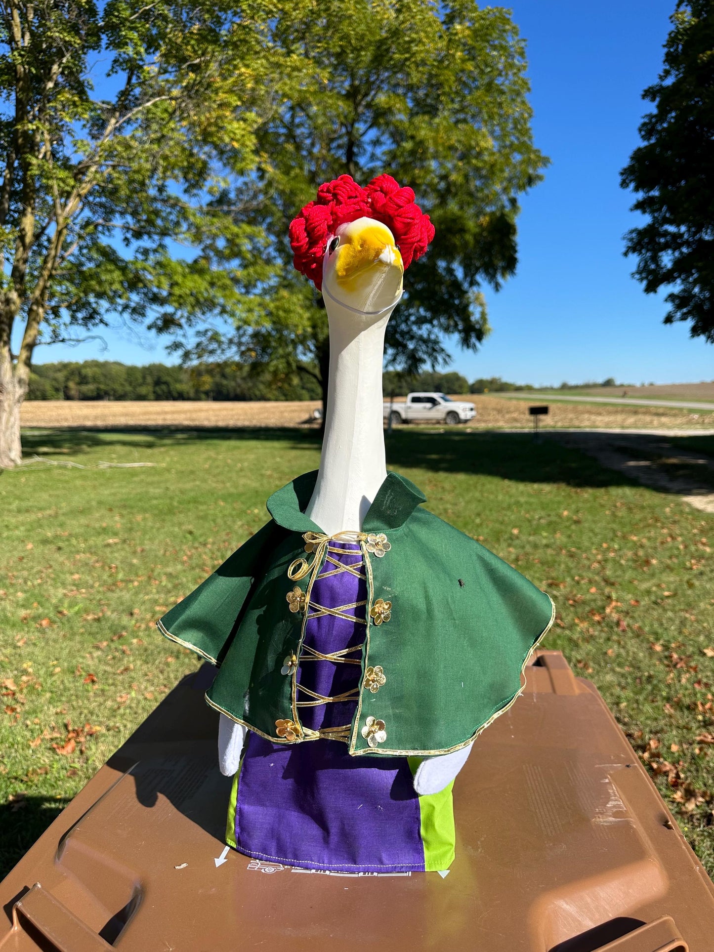 Hocus Pocus Goose Winifred outfit