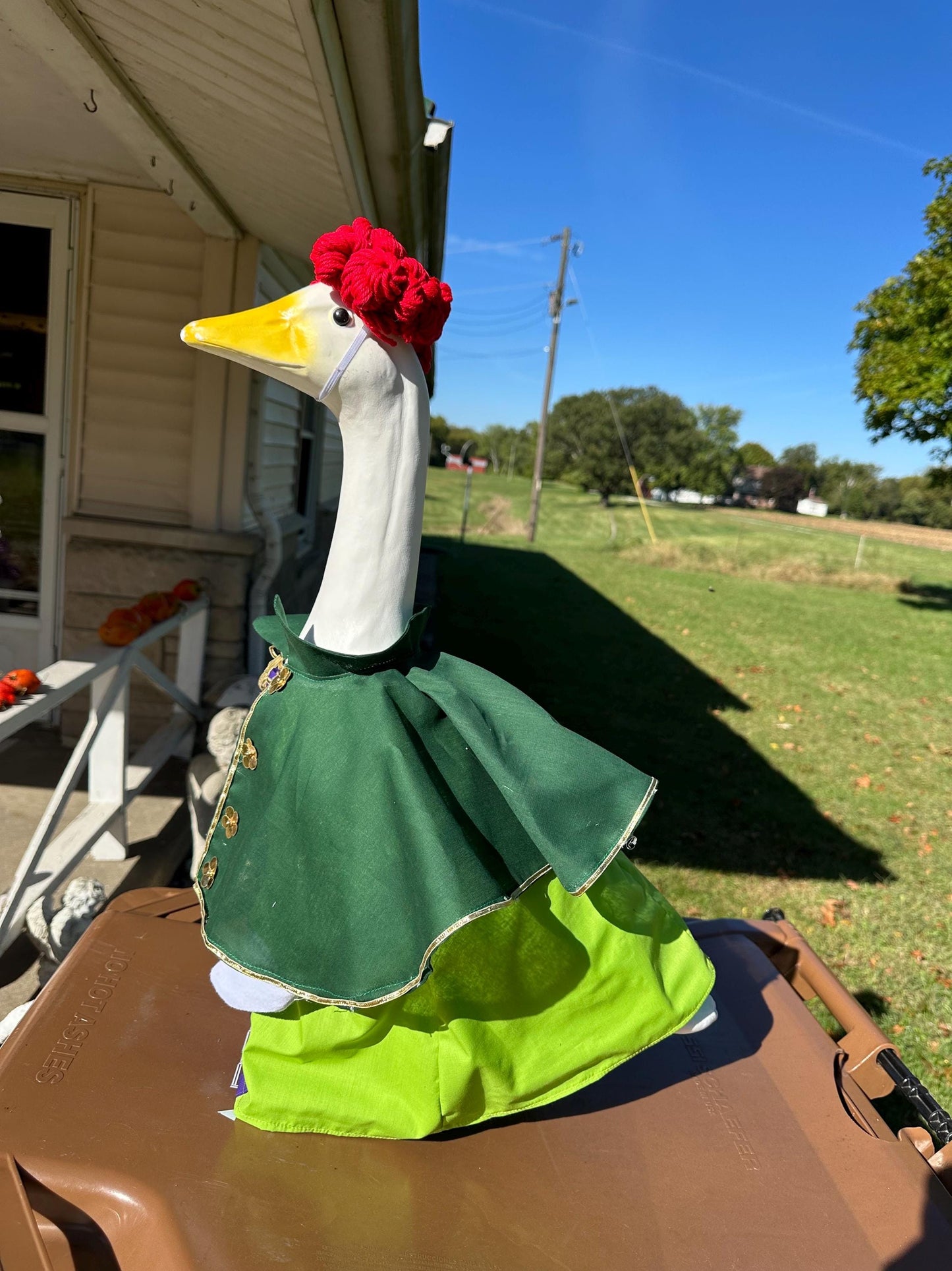 Hocus Pocus Goose Winifred outfit