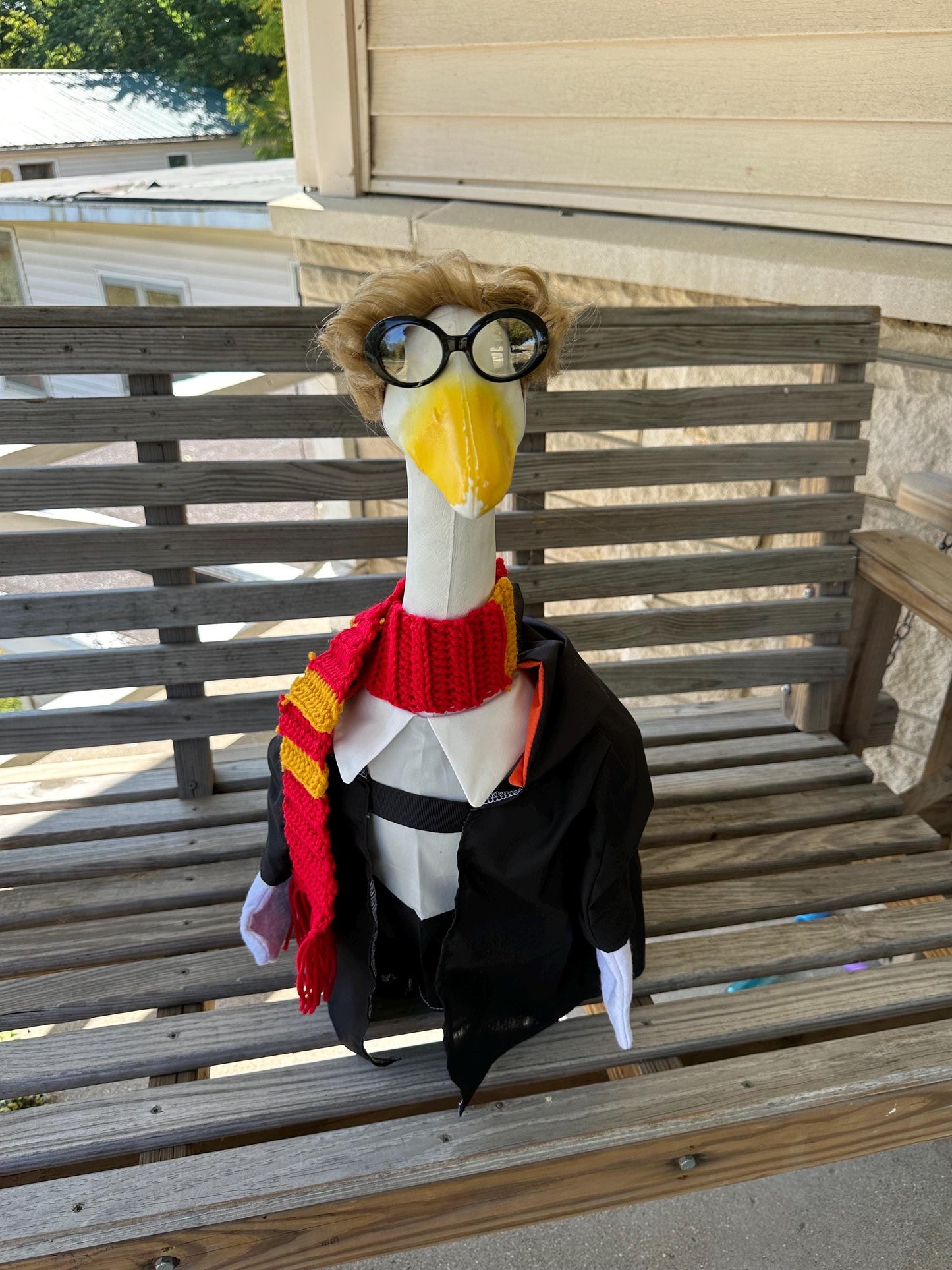 Mr Goose Potter