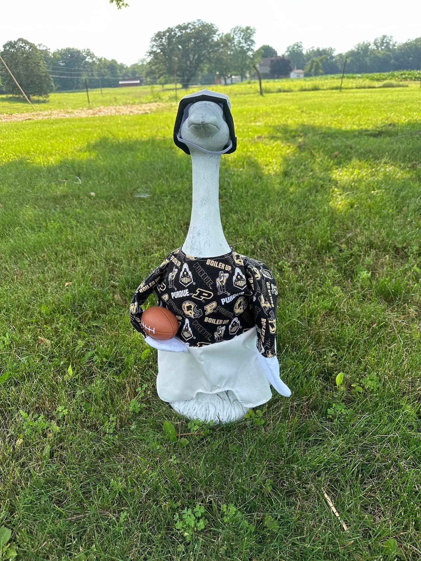 Football goose outfit