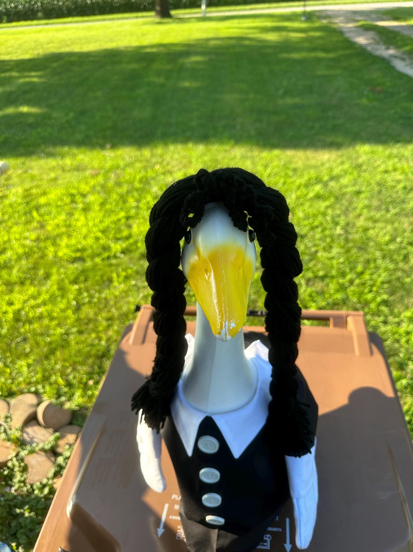 Wednesday adams goose outfit