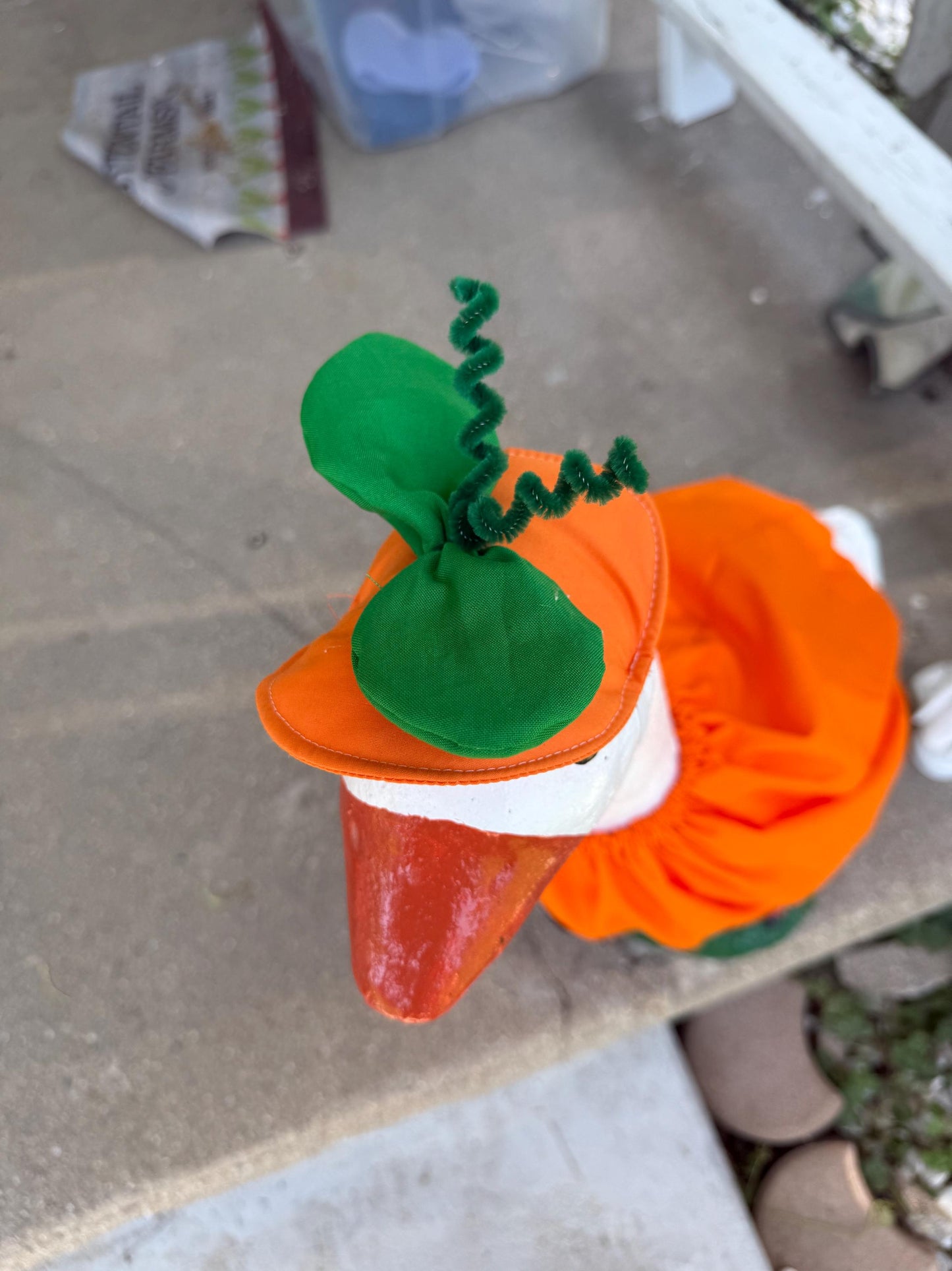 pumpkin goose costume
