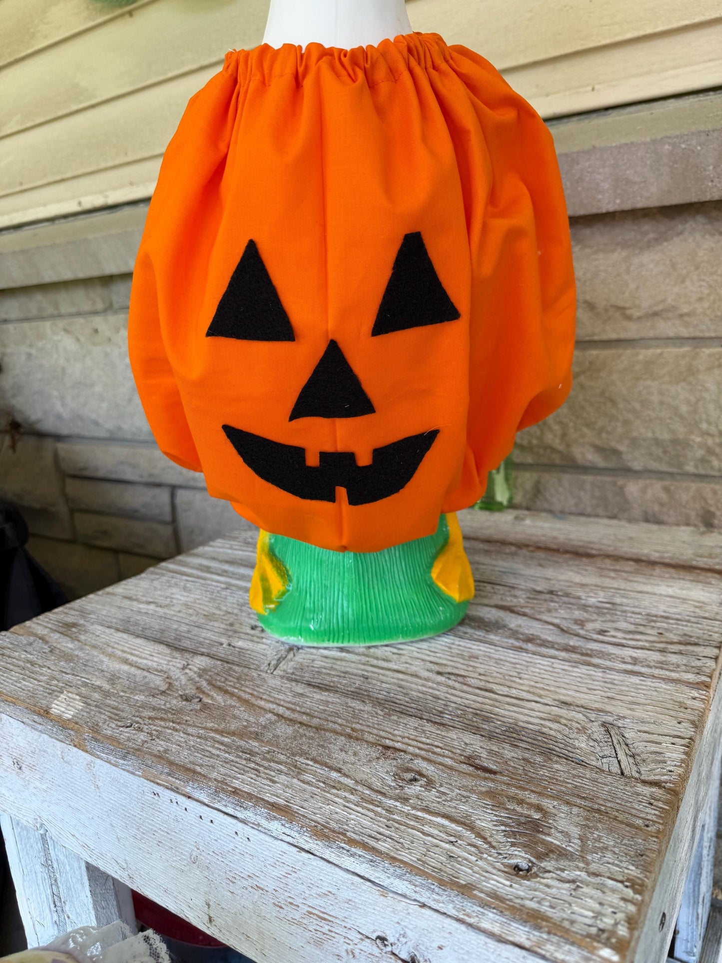pumpkin goose costume