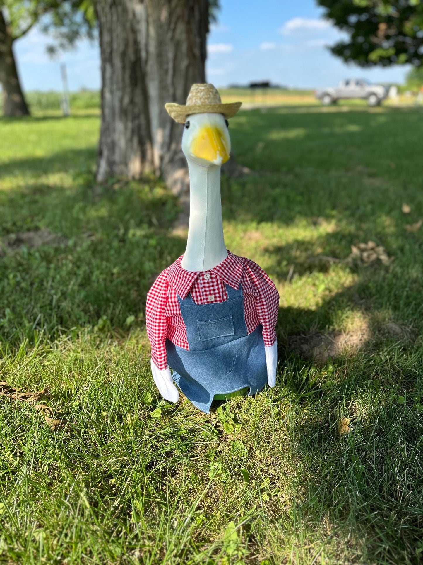 Boy bib outfit