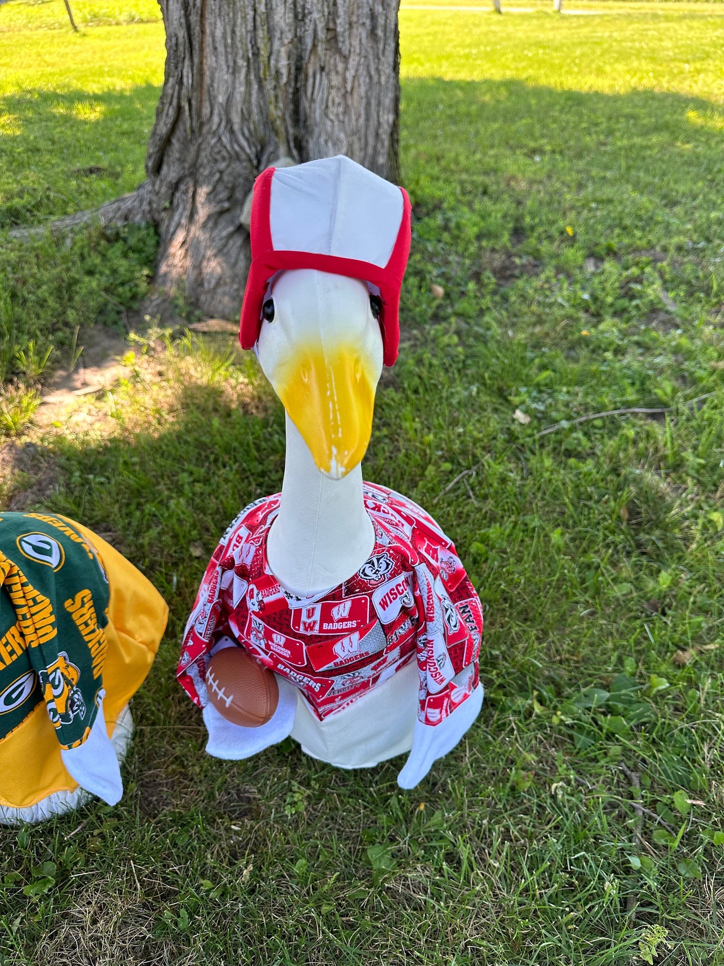 Football goose outfit