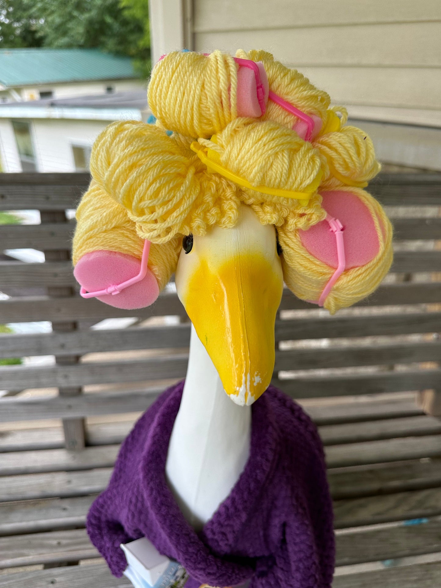robe and curlers set