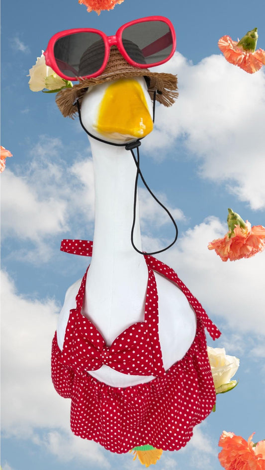 Baby porch goose bikini