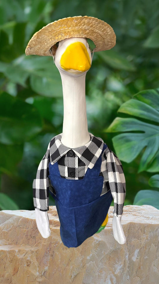 Boy bib outfit