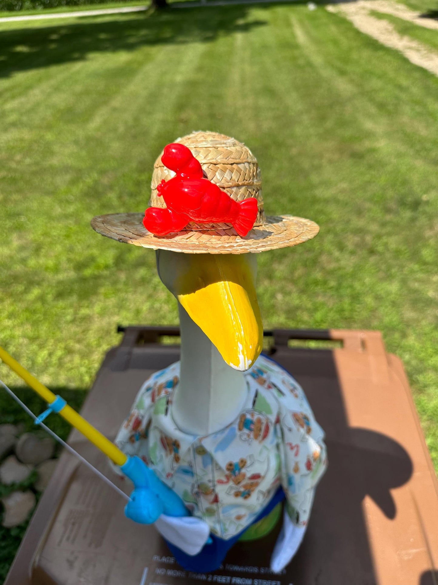 Fishing goose outfit