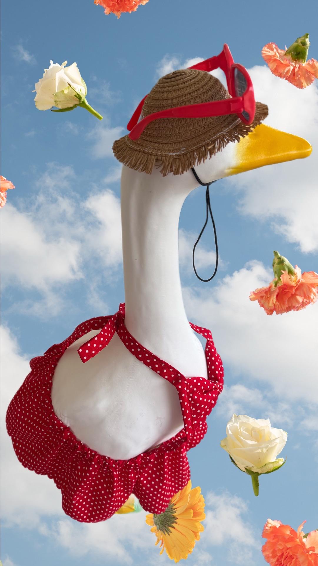 Baby porch goose bikini
