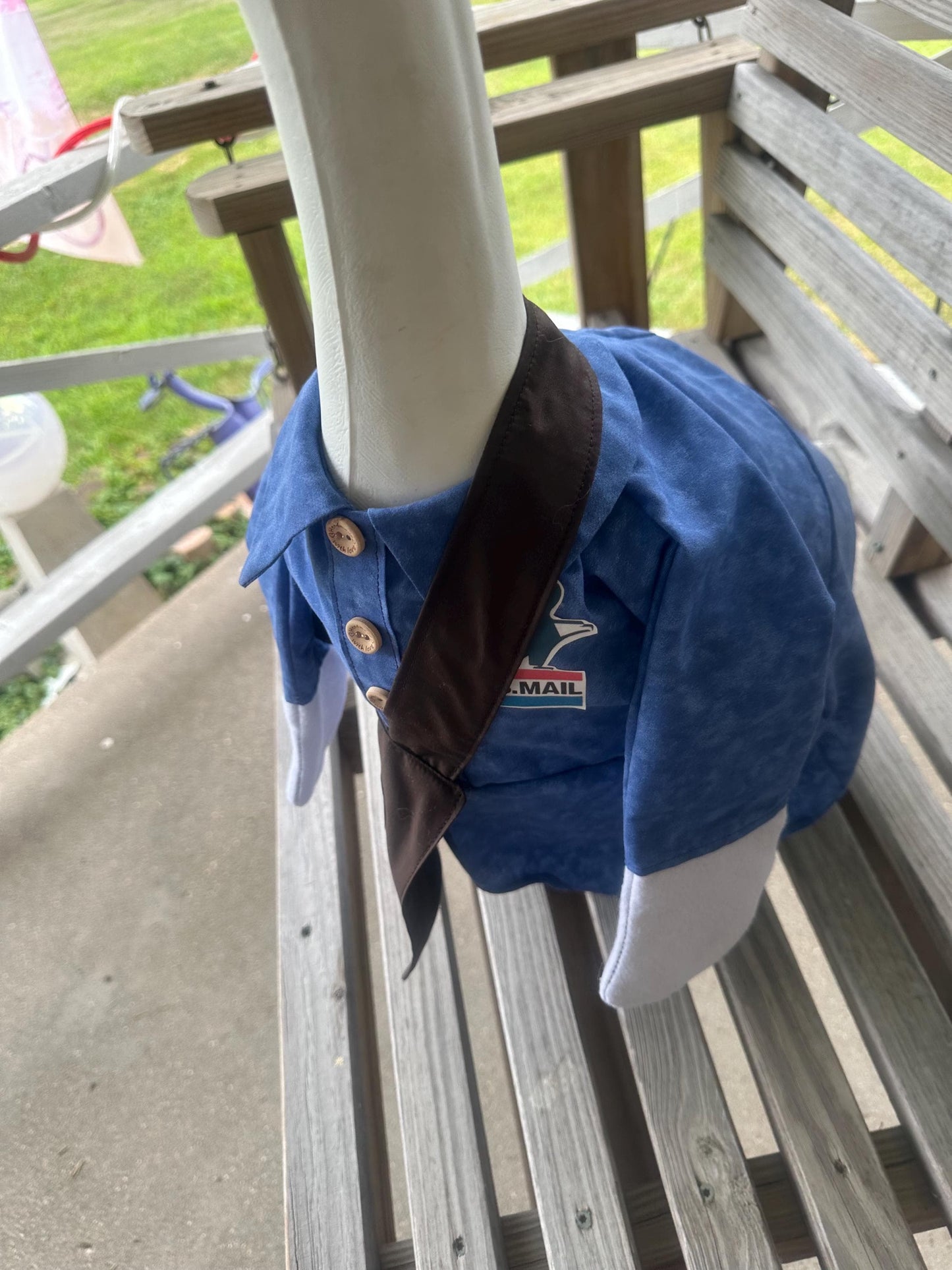 USPS delivery goose outfit