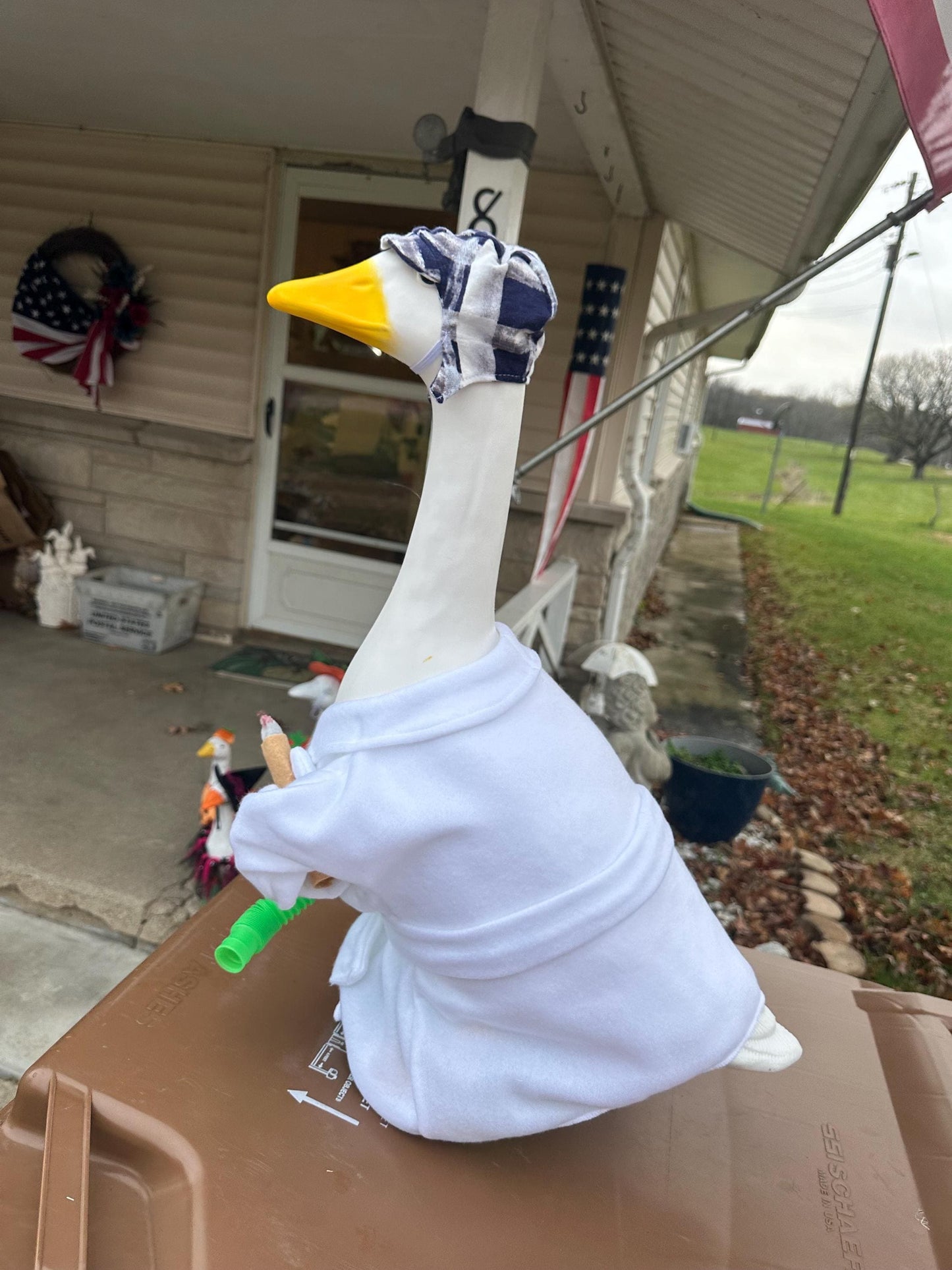 cousin Eddie goose outfit