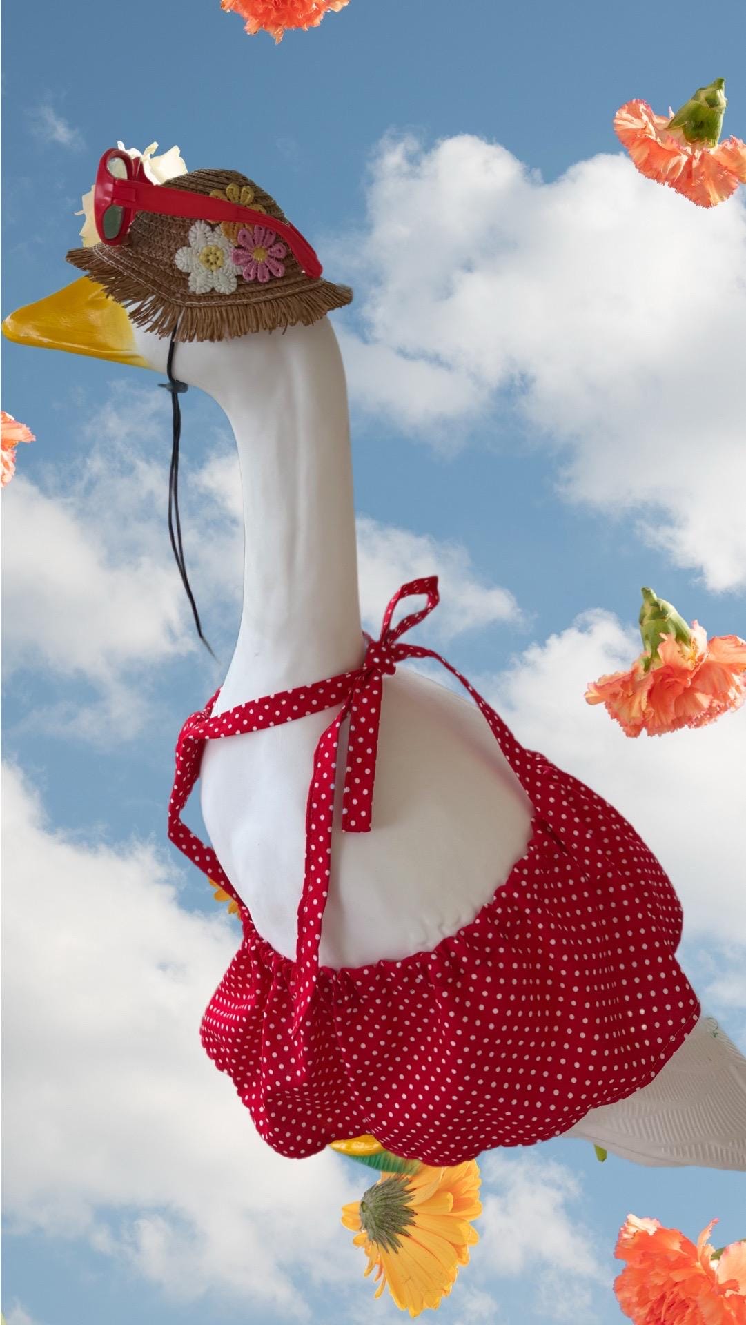 Baby porch goose bikini