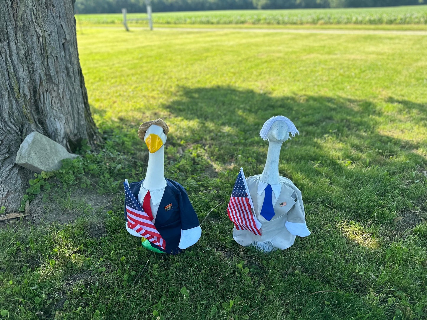 Mr Goose Trump