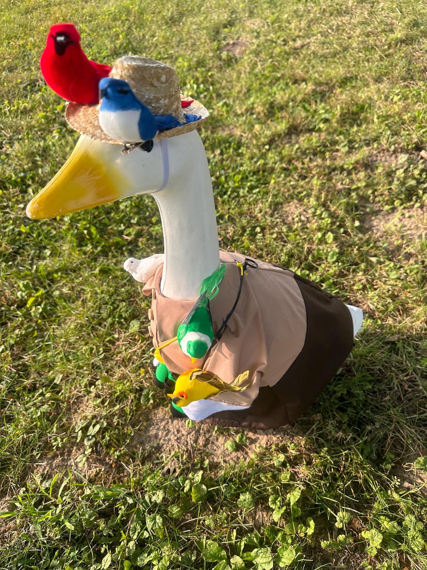 Baby goose birdwatcher outfit