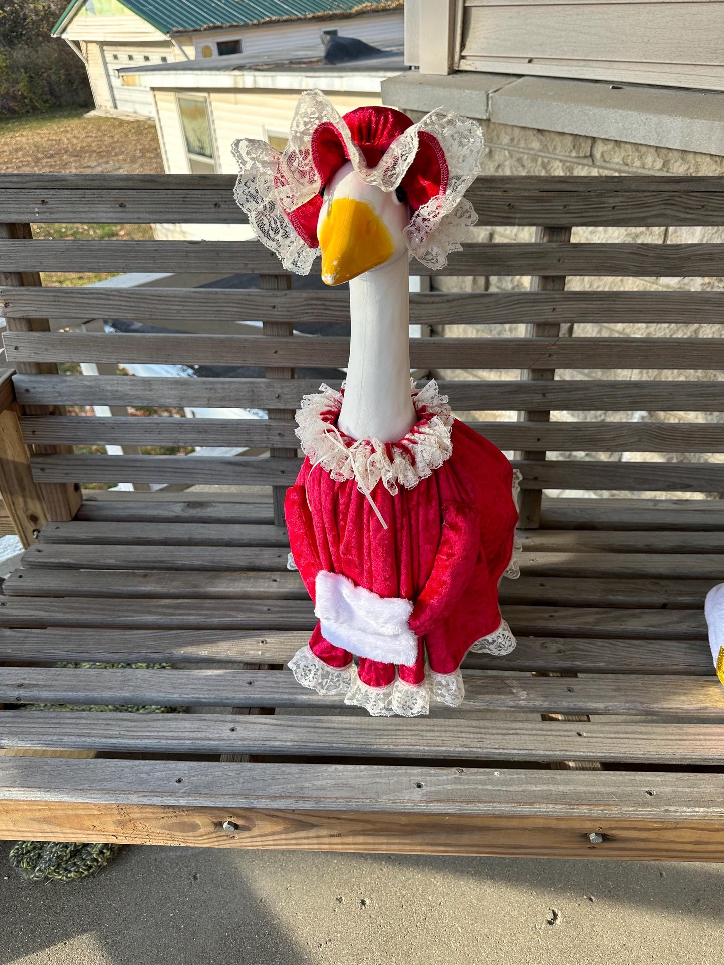 Mr. and Mrs. Santa Claus outfit