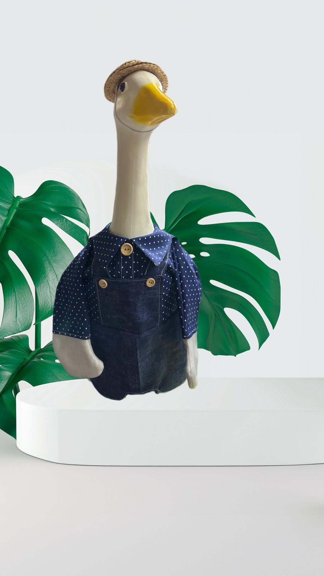 Boy bib outfit
