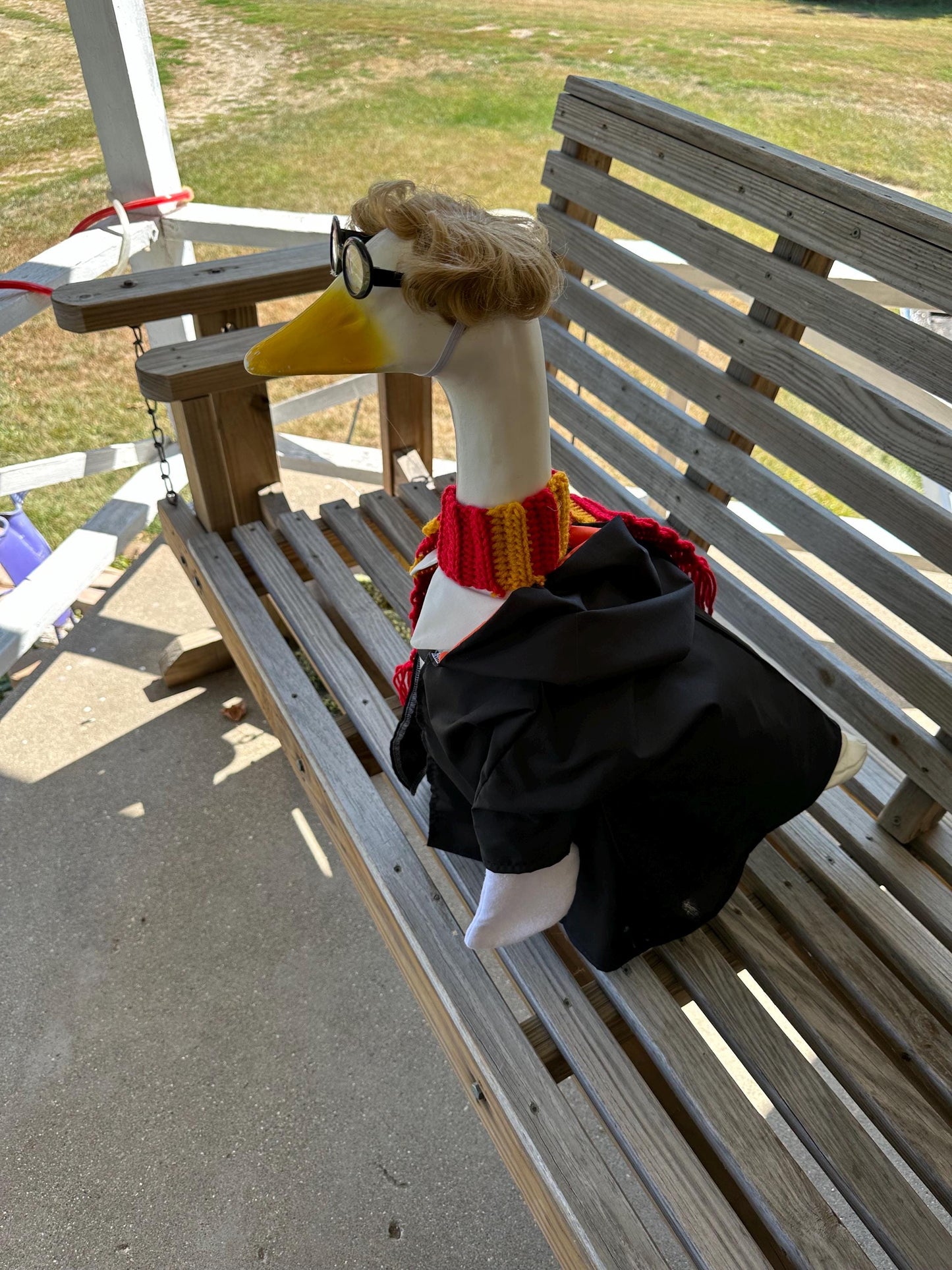 Mr Goose Potter