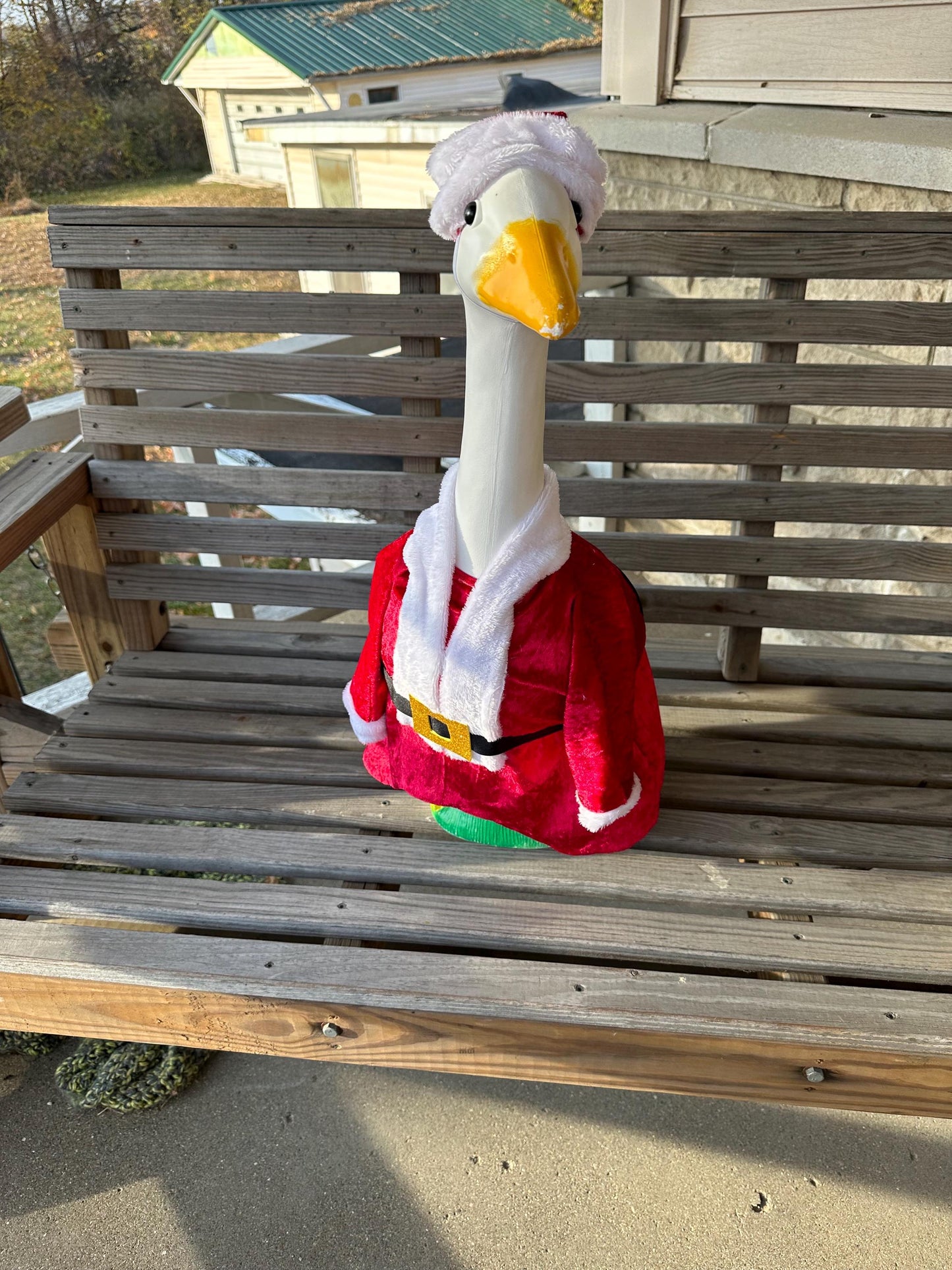 Mr. and Mrs. Santa Claus outfit