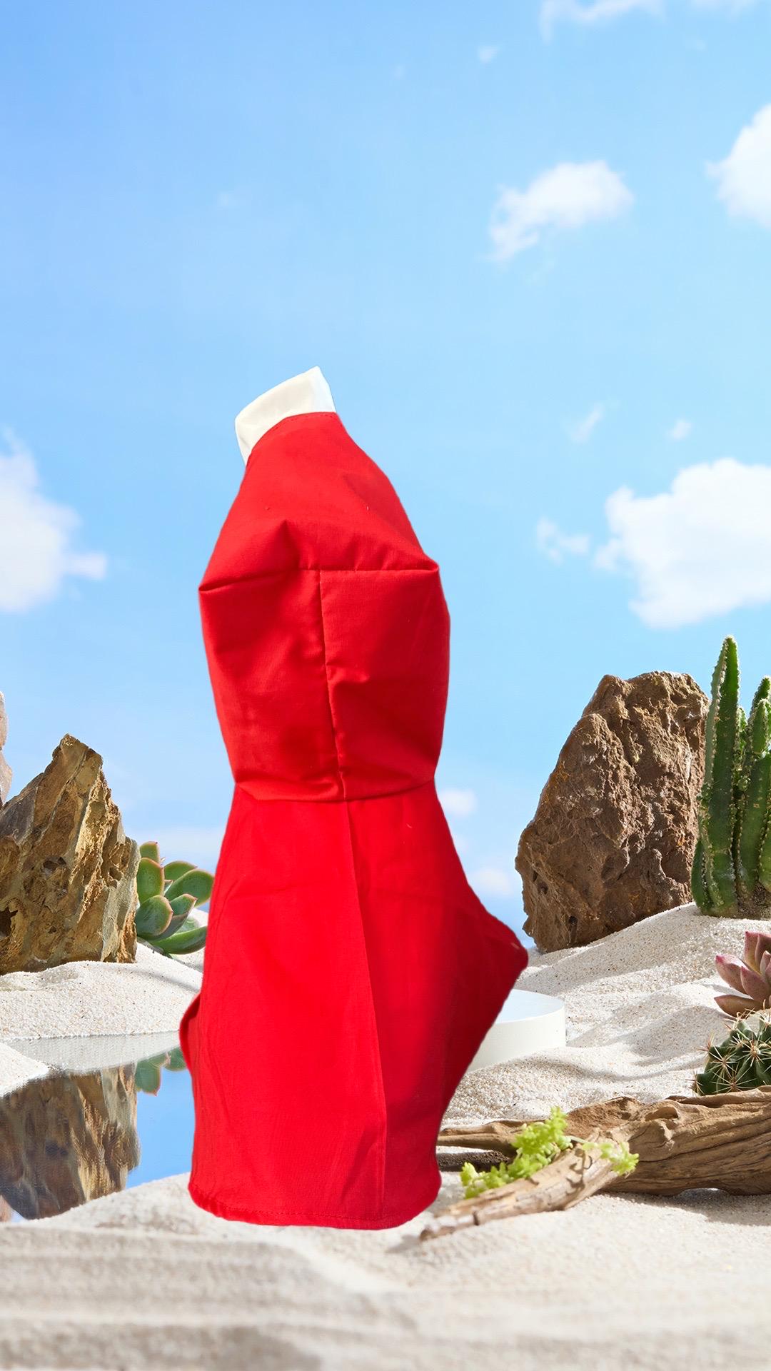 Baby Handmaiden goose dress