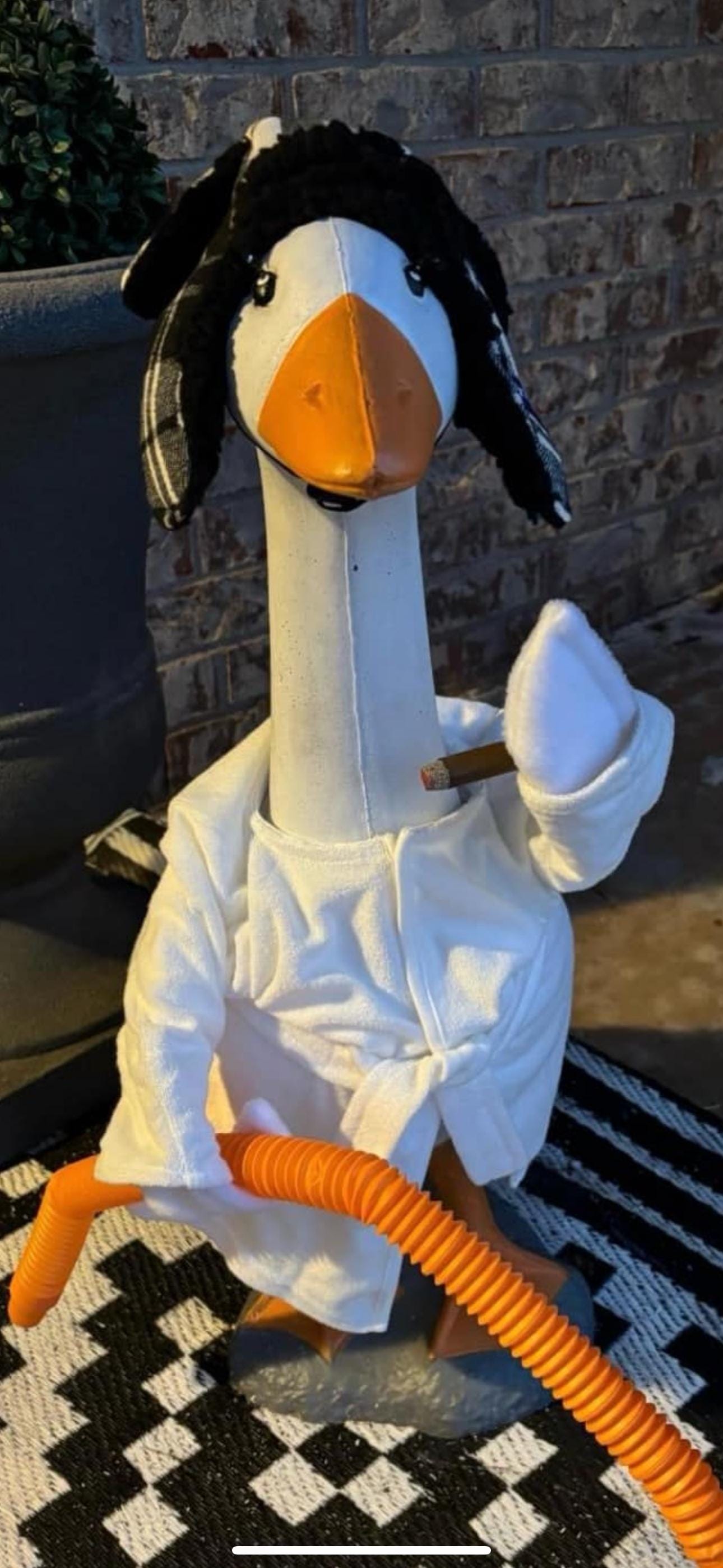 cousin Eddie goose outfit