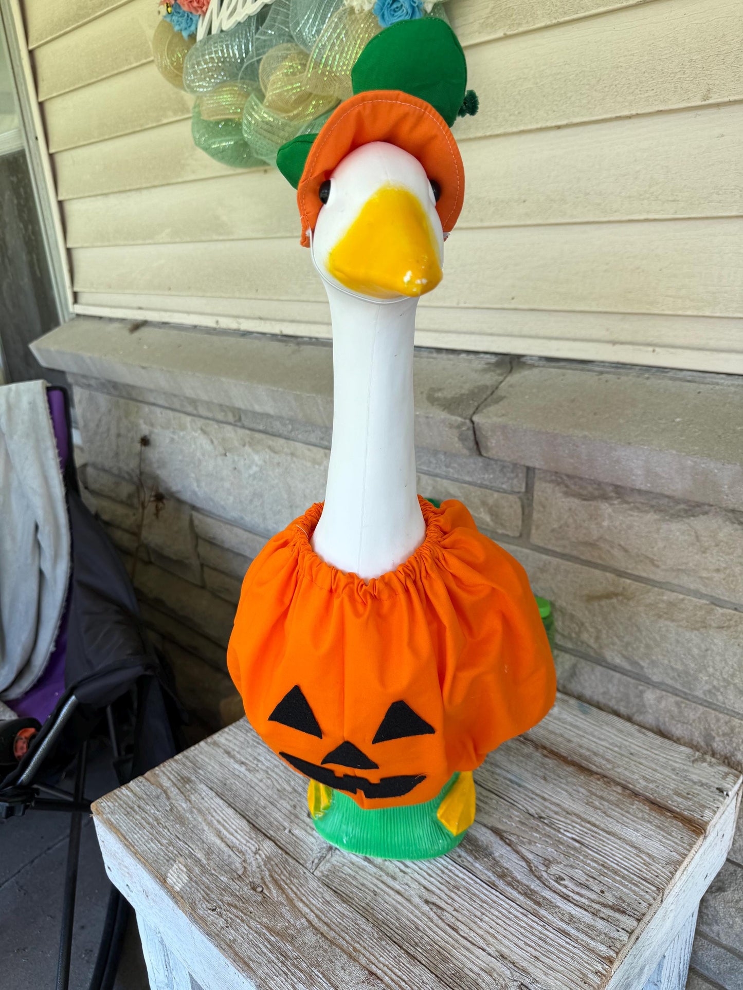 pumpkin goose costume