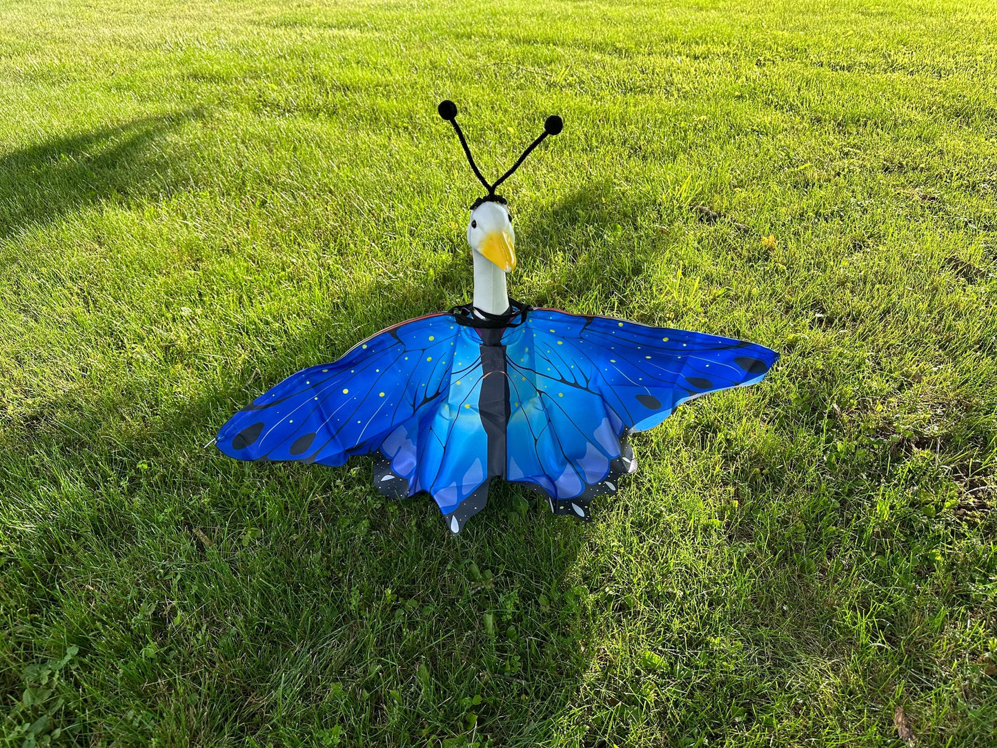 Butterfly goose outfit