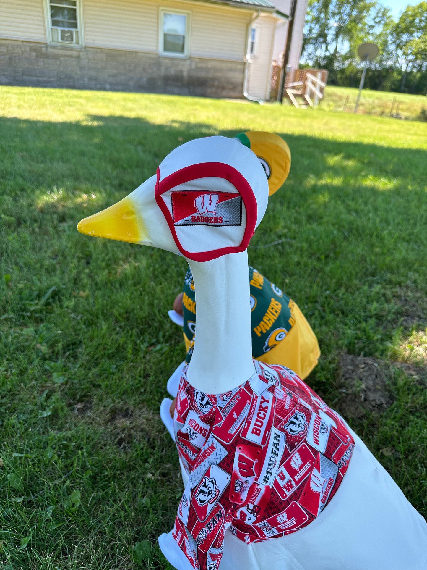 Football goose outfit