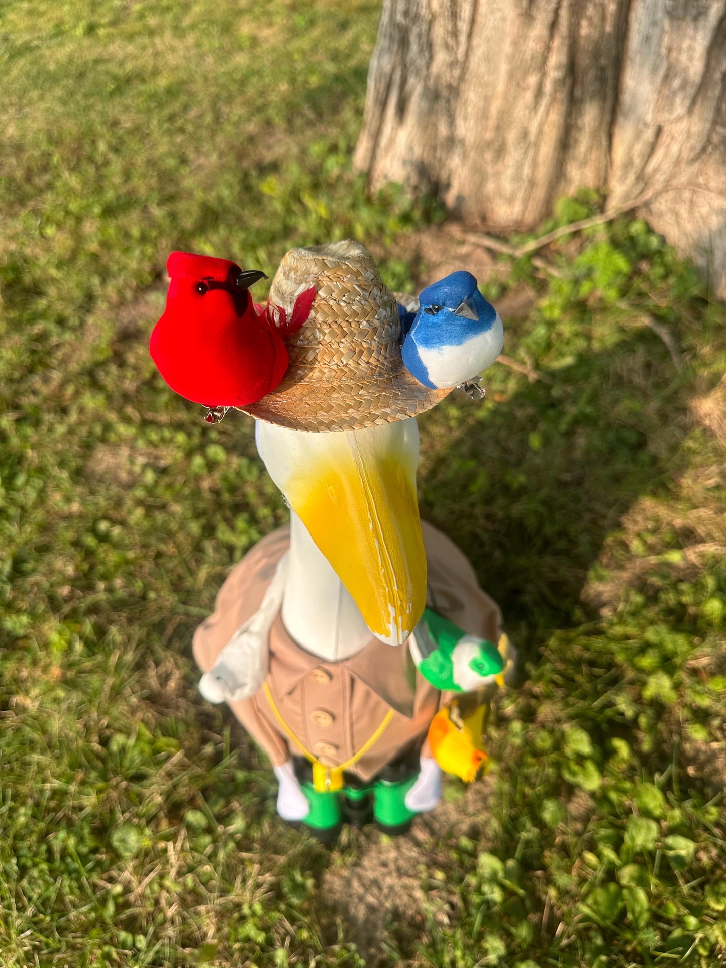 Bird watcher goose outfit