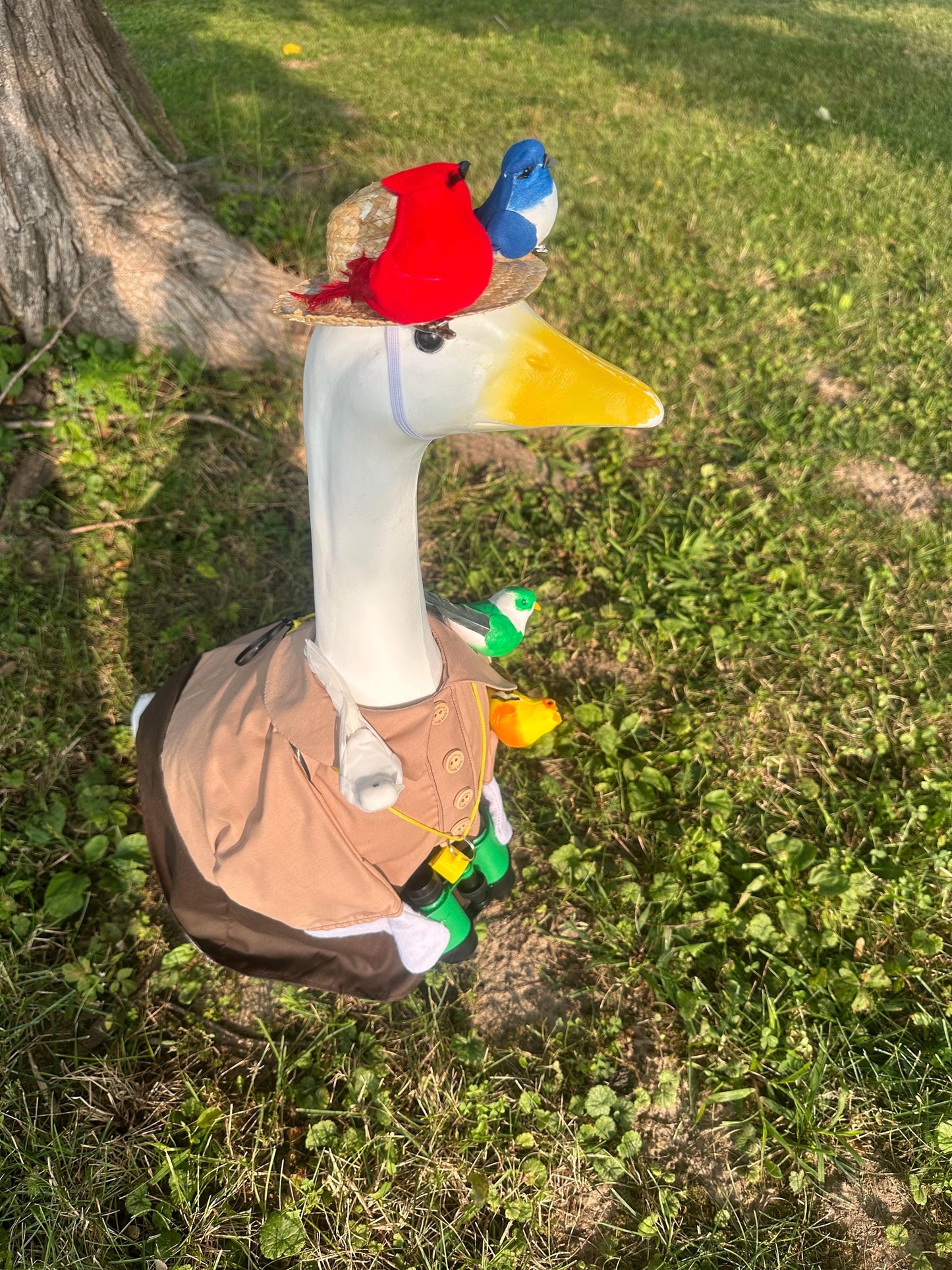 Baby goose birdwatcher outfit