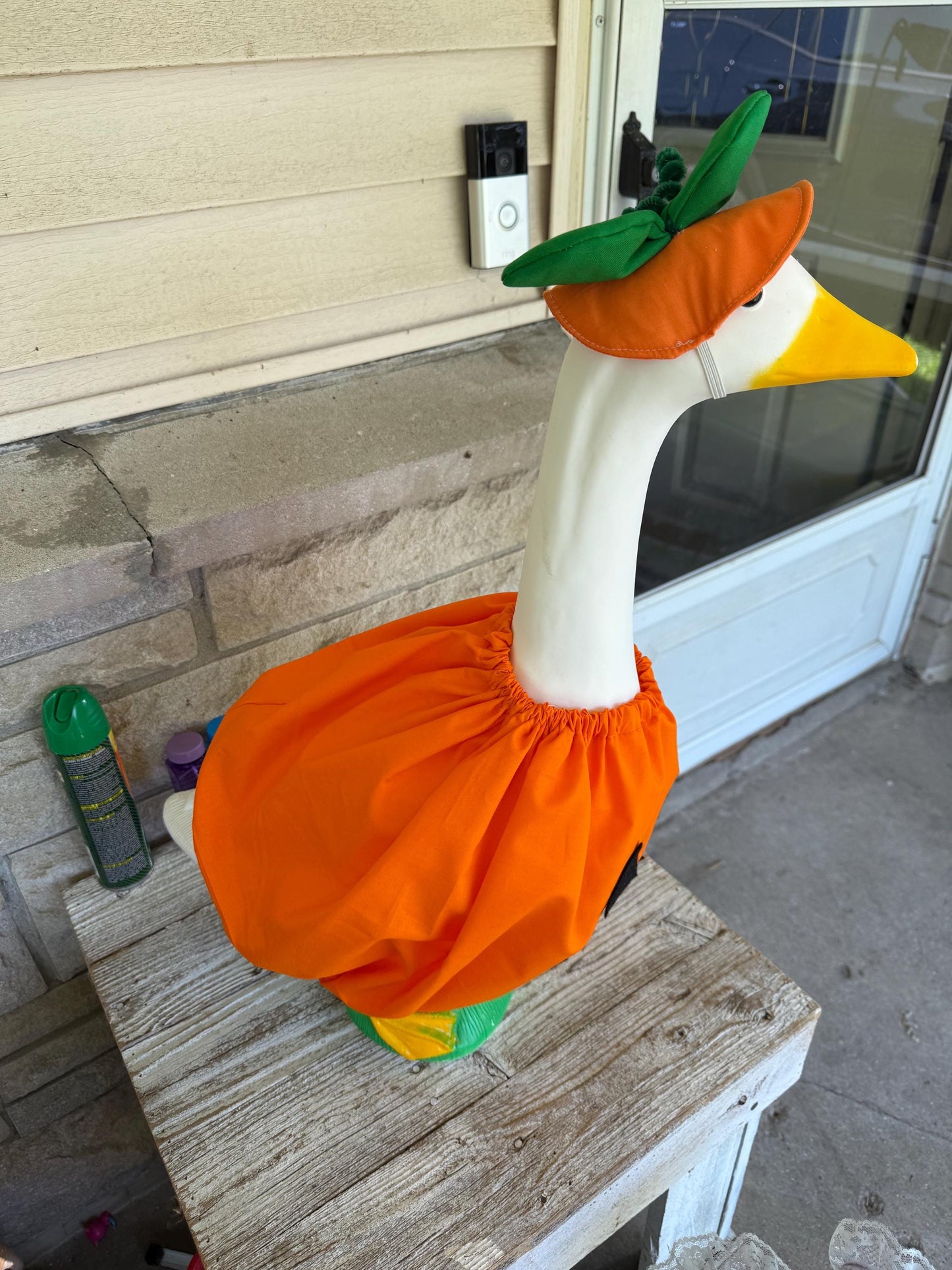 pumpkin goose costume