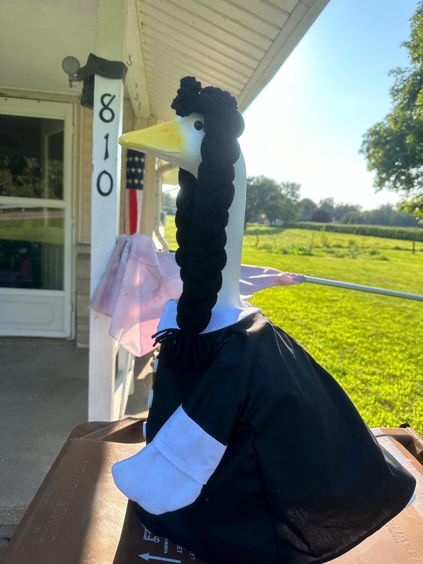 Wednesday adams goose outfit