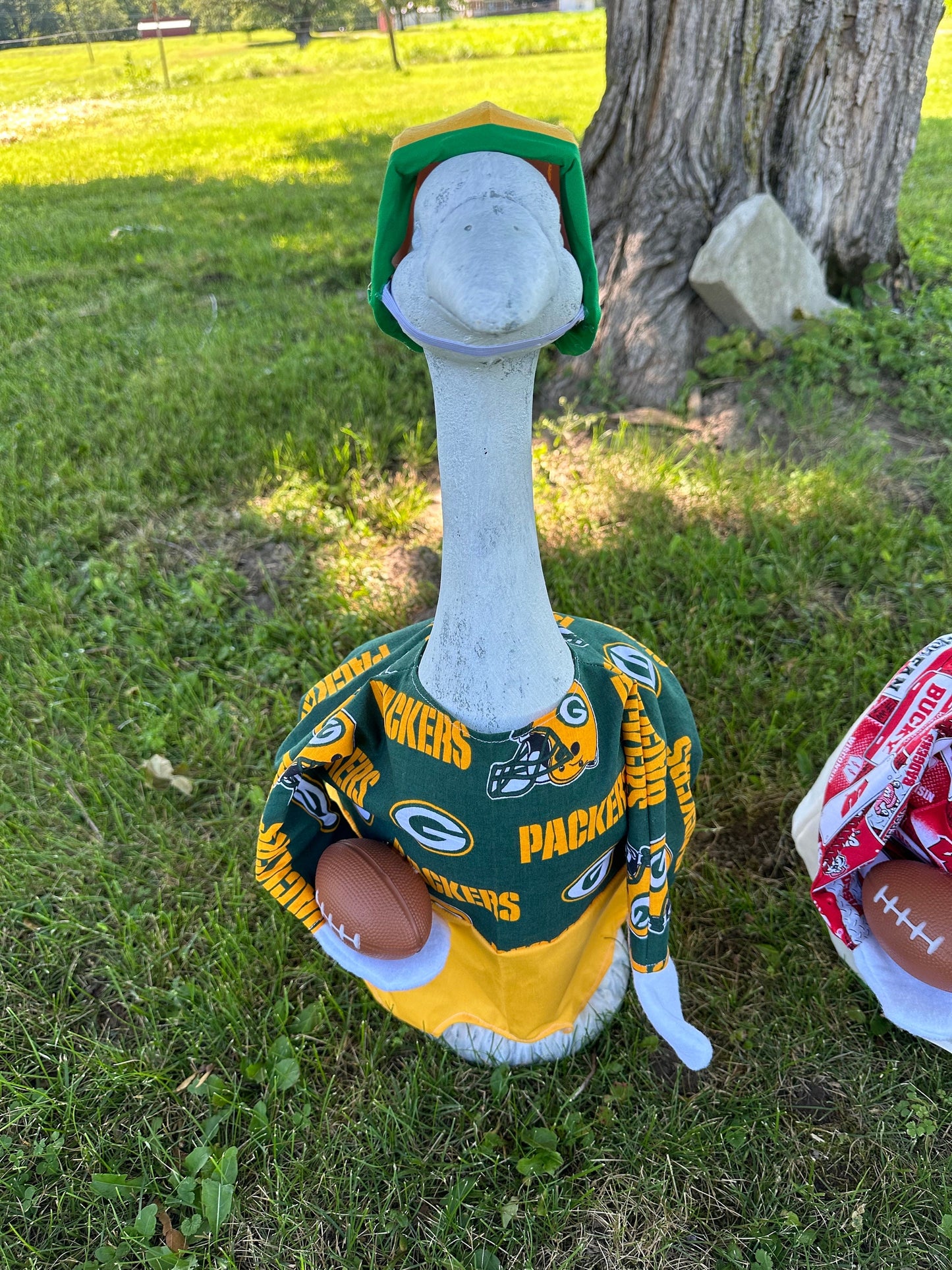 Football goose outfit