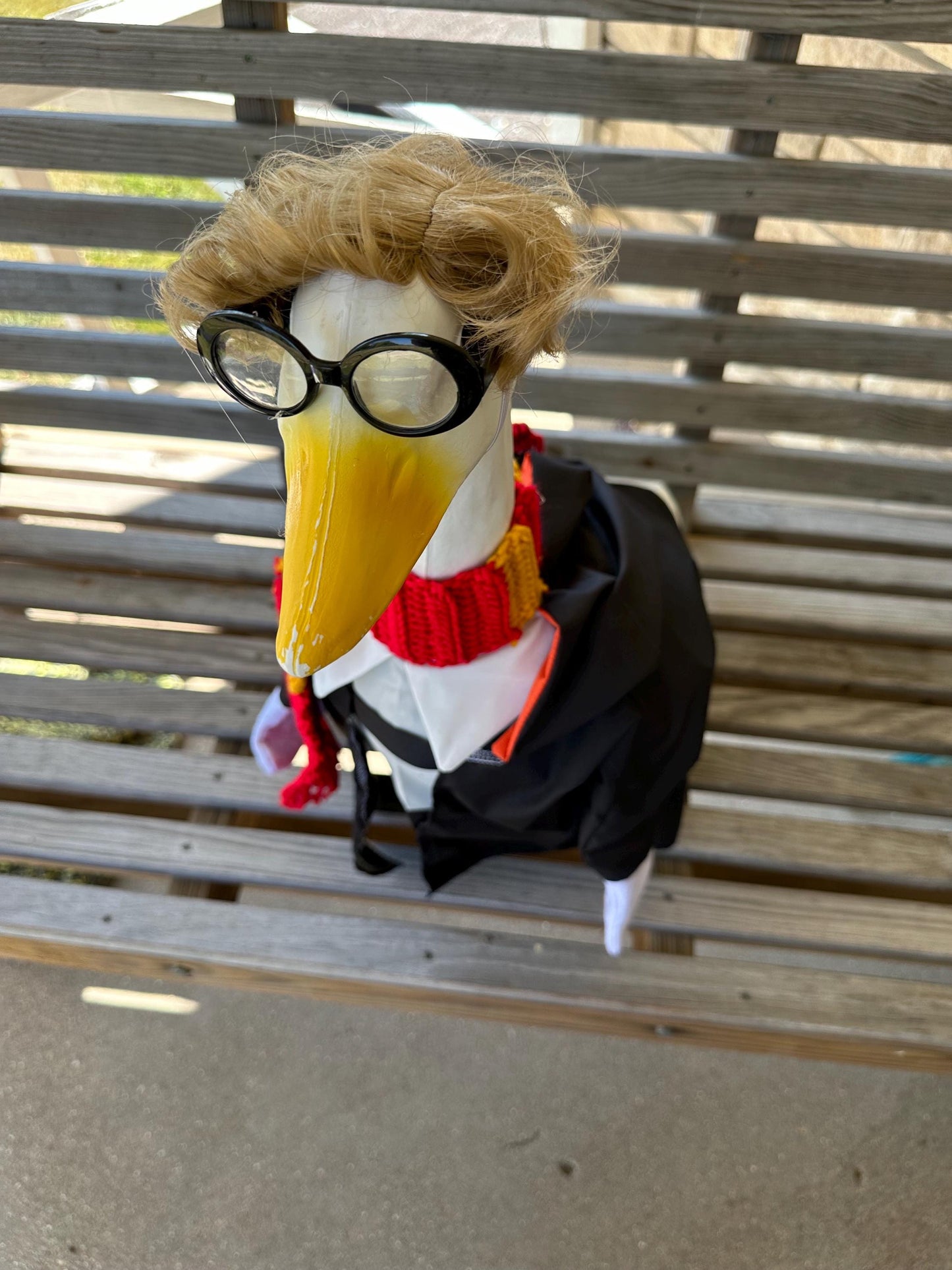 Mr Goose Potter