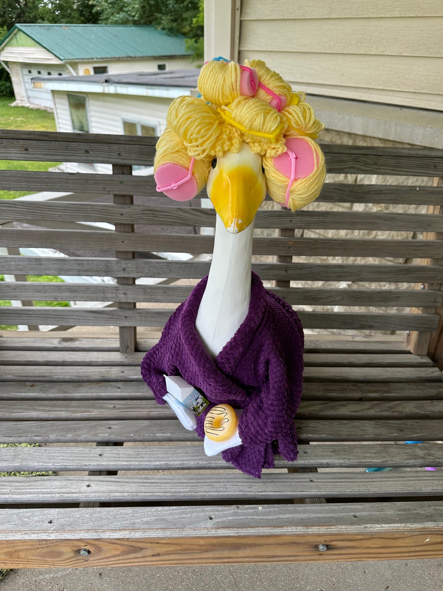 robe and curlers set