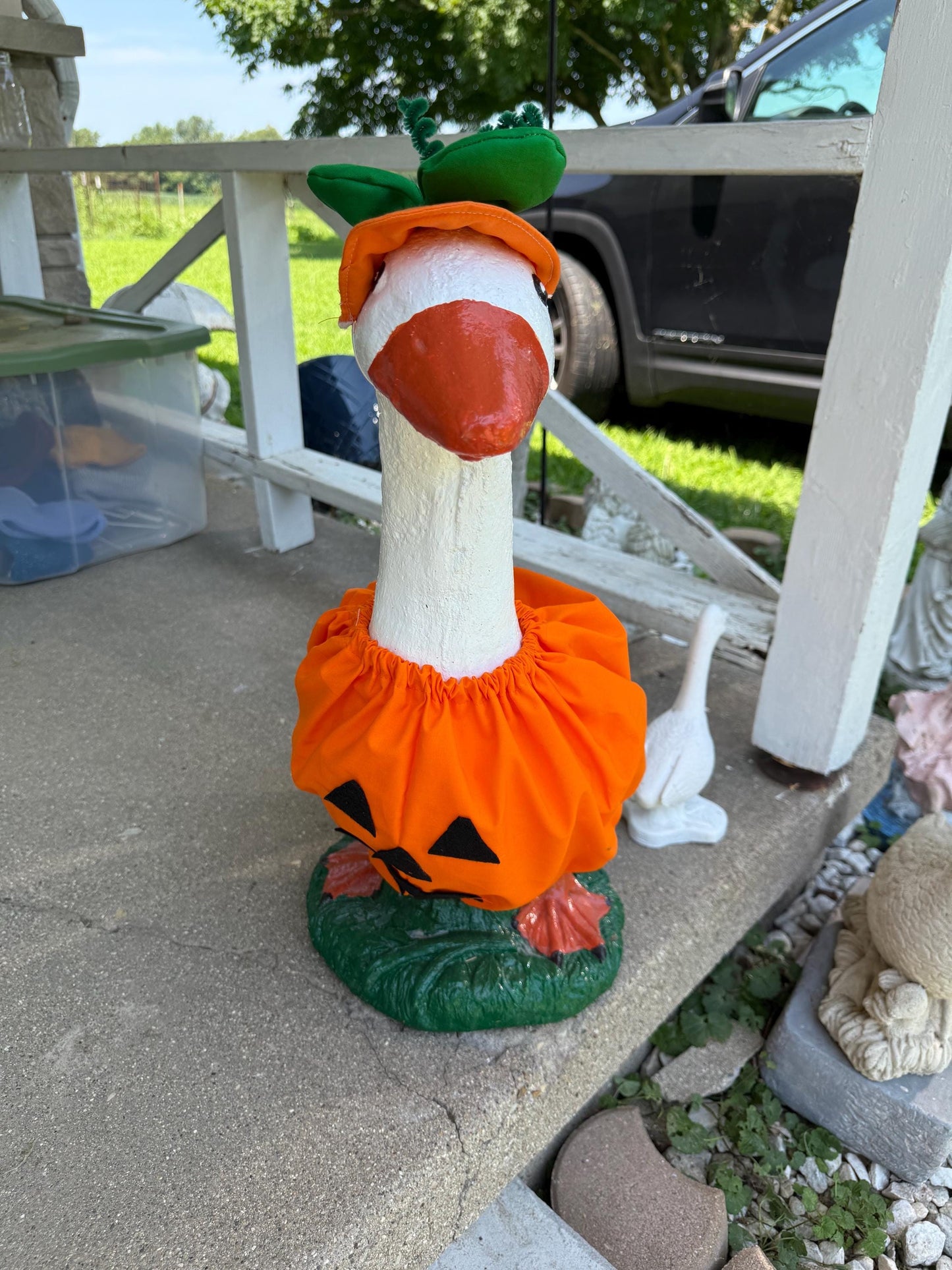 pumpkin goose costume
