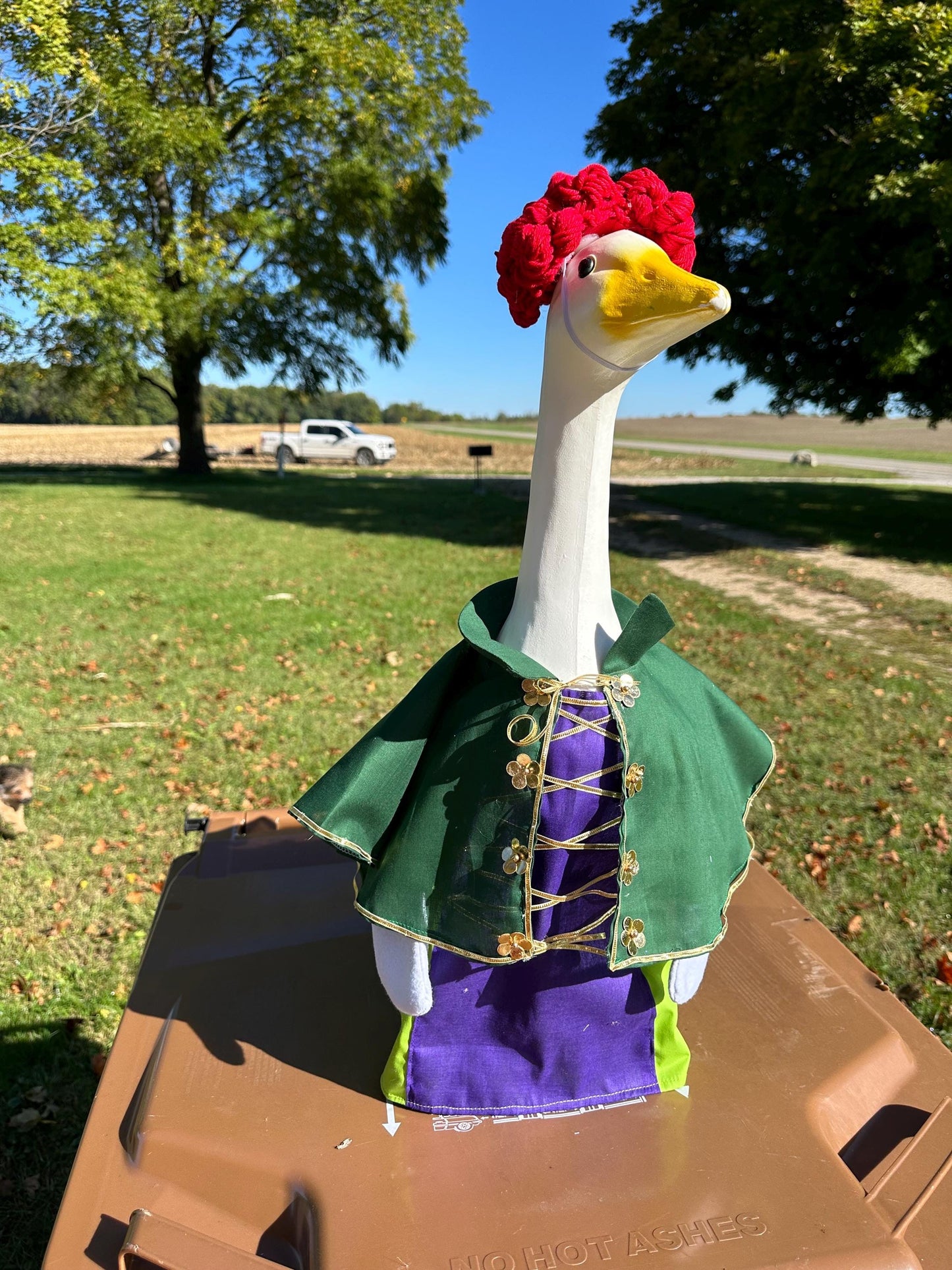 Hocus Pocus Goose Winifred outfit